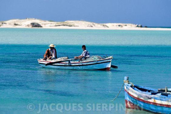 Villa Nour Djerba Plain Pied De Gamme Piscine Proche De La *